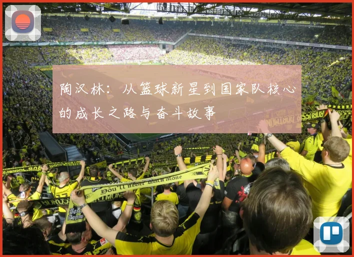 陶汉林：从篮球新星到国家队核心的成长之路与奋斗故事