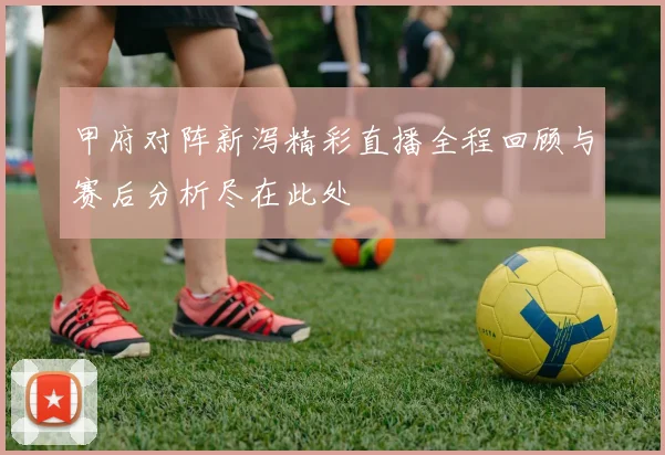 甲府对阵新泻精彩直播全程回顾与赛后分析尽在此处