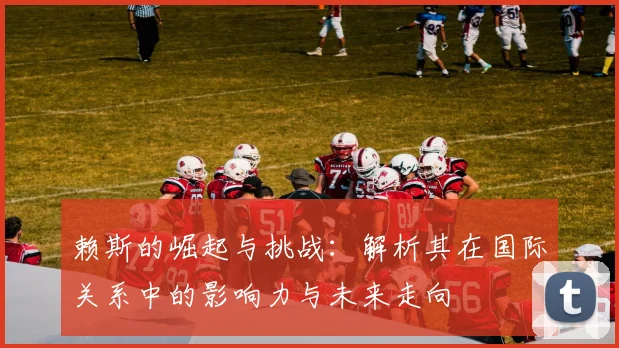 赖斯的崛起与挑战：解析其在国际关系中的影响力与未来走向