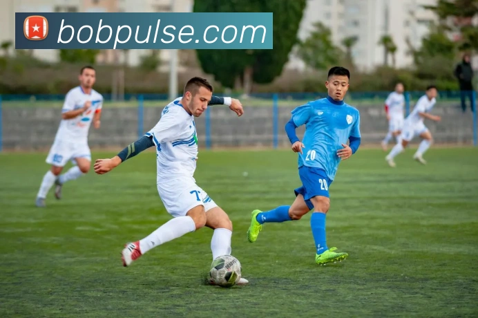 BOB体育APP 封面图